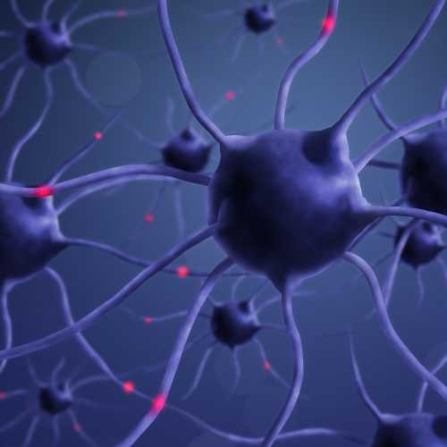 Neuronales Netzwerk